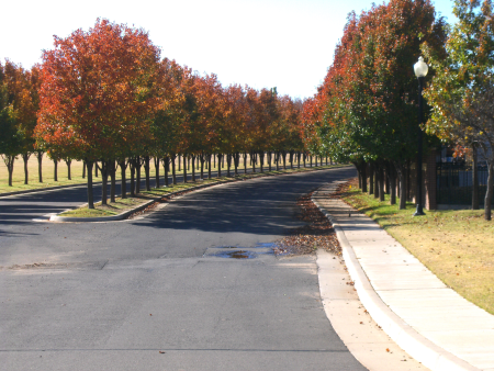Trees in fall at Rivendell neighborhood in Oklahoma City